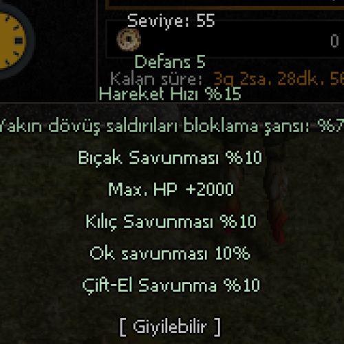  ANKA AYAKKABI WSLİK 55